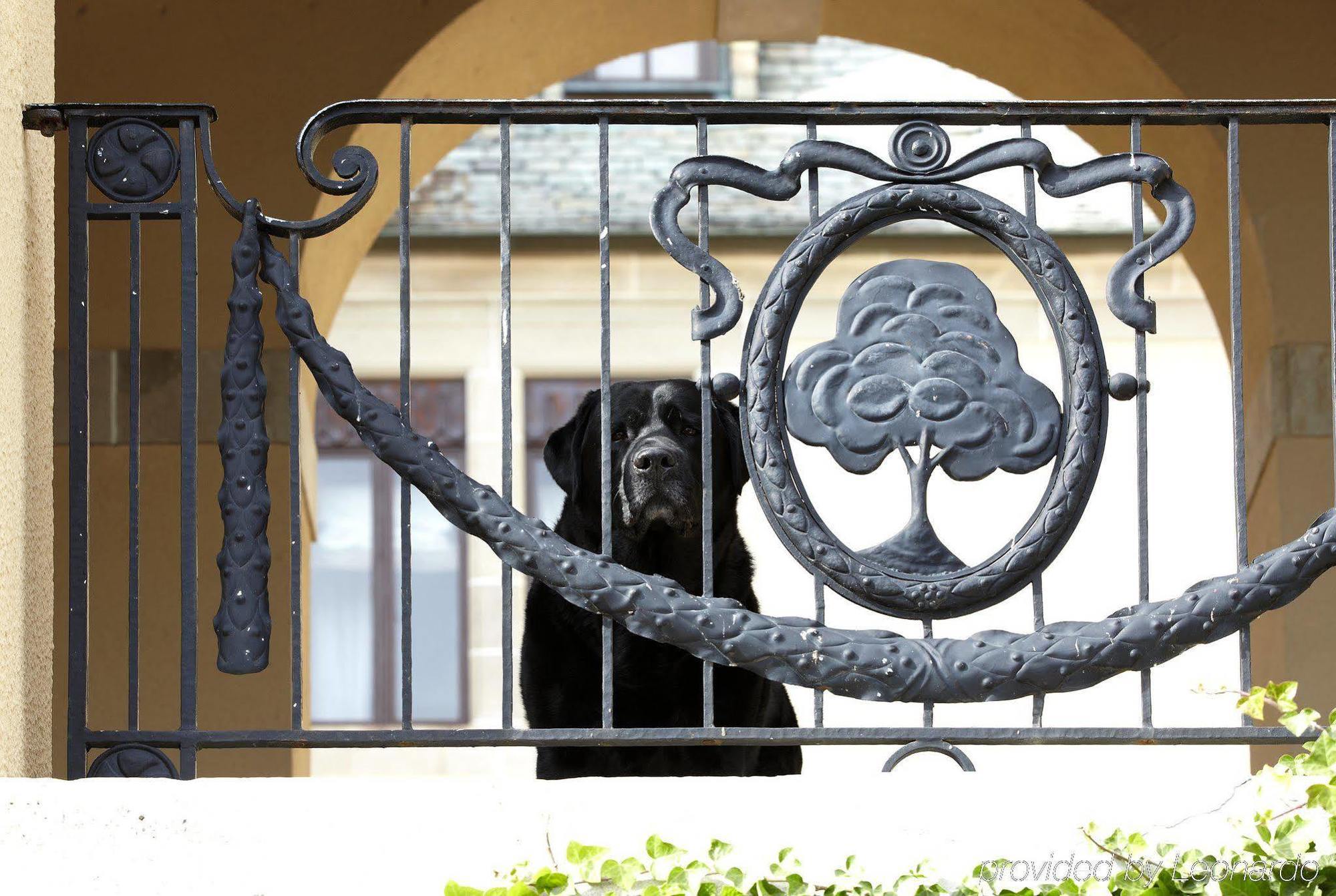 Oheka Castle Hotel & Estate Huntington Exterior photo